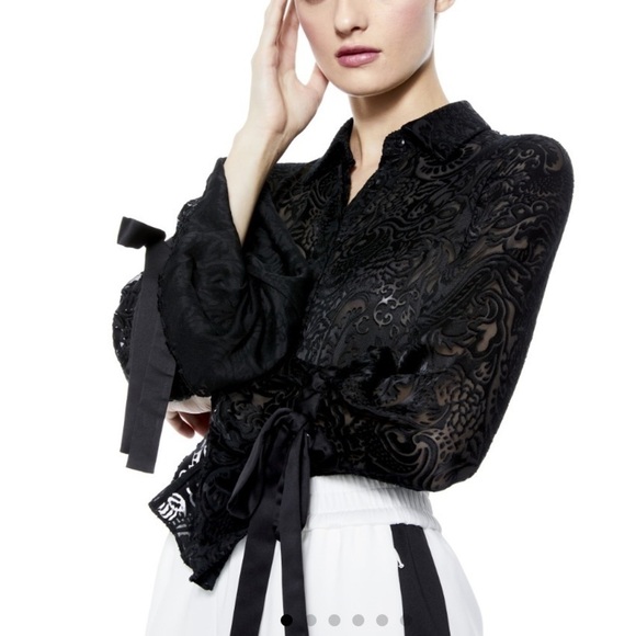 Alice + Olivia Feminine Escape Willa Ruffle Cuff Blouse - Picture 1 of 15